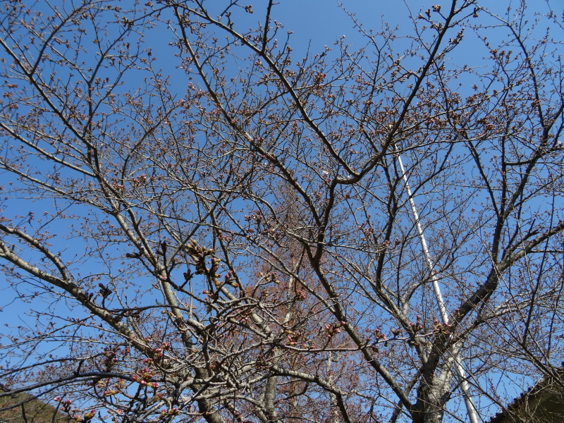 c0108460_18263183.jpg