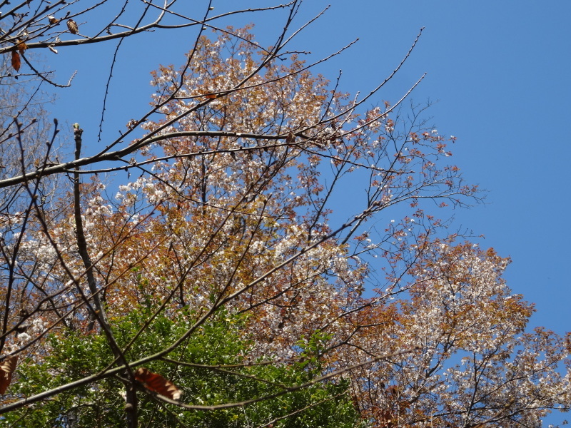 c0108460_18282309.jpg