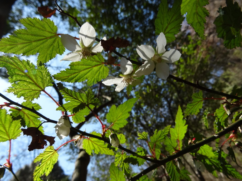 c0108460_18324441.jpg