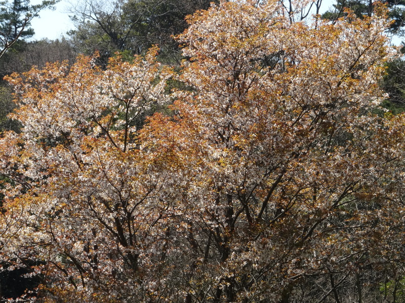 c0108460_18335957.jpg