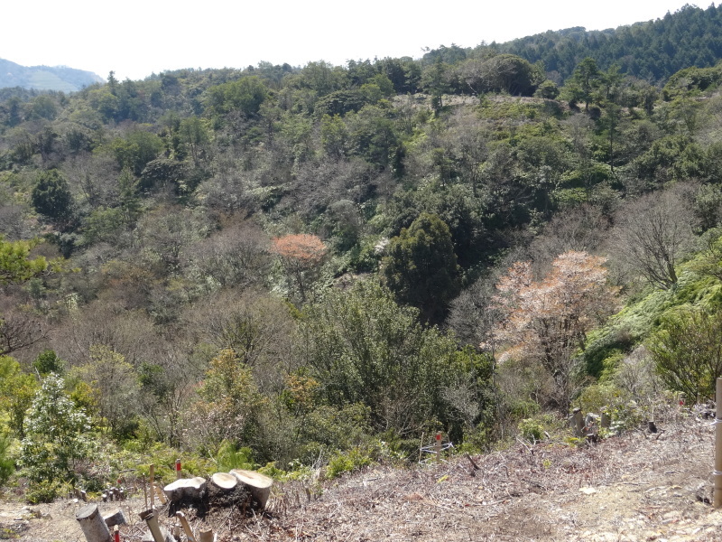 c0108460_18350282.jpg