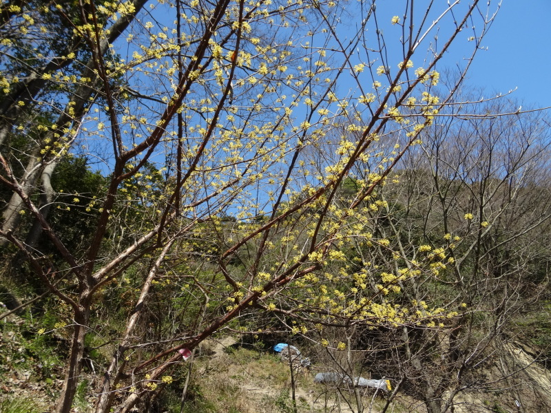 c0108460_18444340.jpg