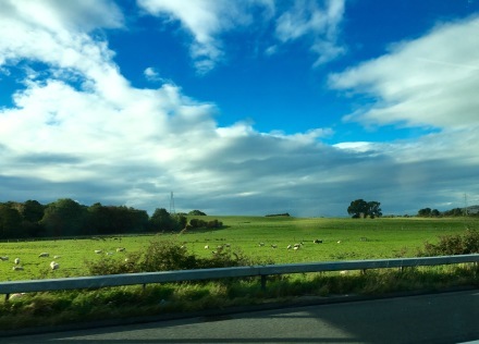 a0199262_00304480.jpg