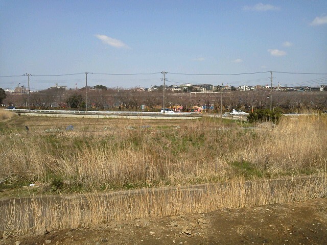 b0155973_11453925.jpg