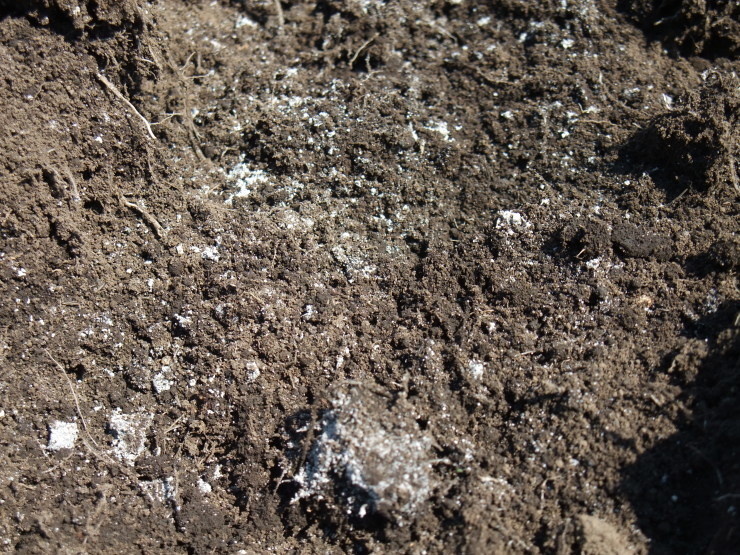 d0225575_22363429.jpg
