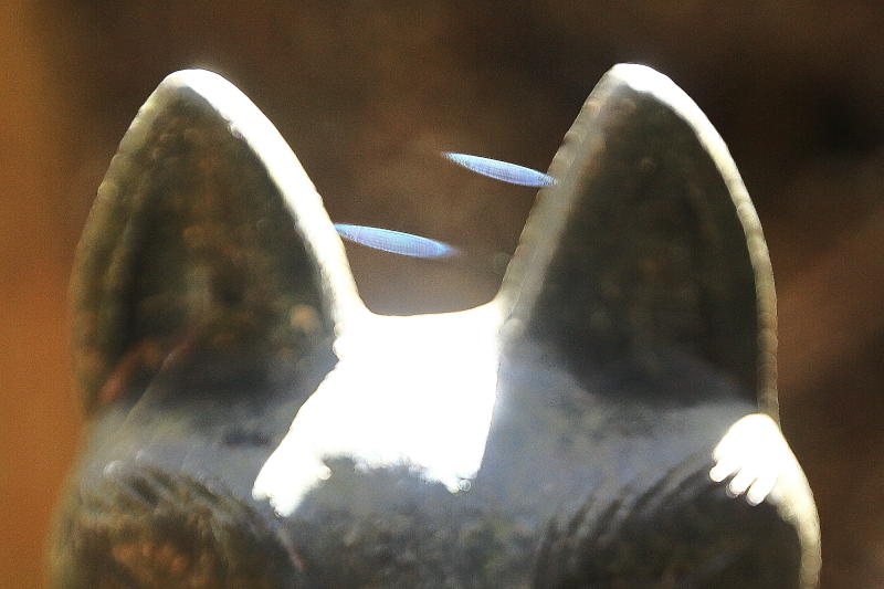 f0075075_20141596.jpg