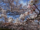 f0222378_8505784.jpg
