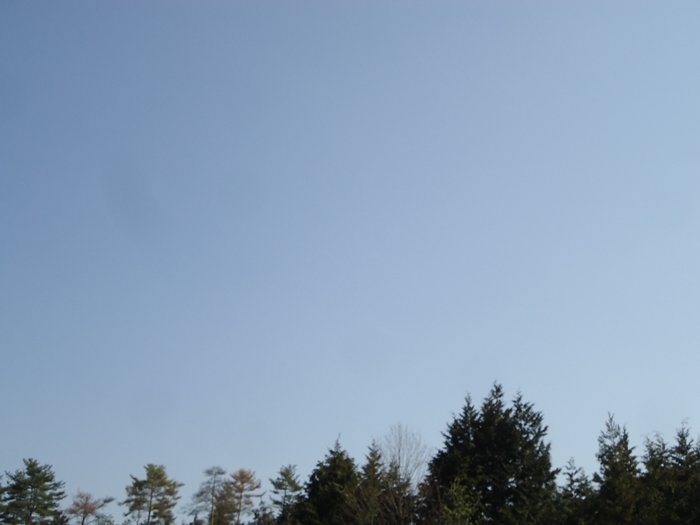 a0199979_20074266.jpg