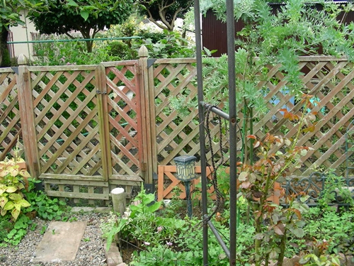 f0366679_23151524.jpg