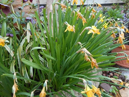 f0366679_2350140.jpg