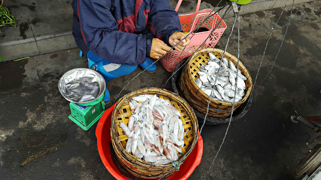 a0182281_16104493.jpg