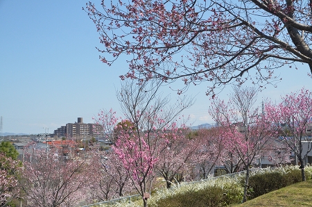 c0229483_10164559.jpg