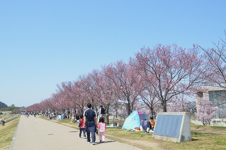 c0229483_10262173.jpg