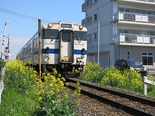 e0130185_19224740.jpg