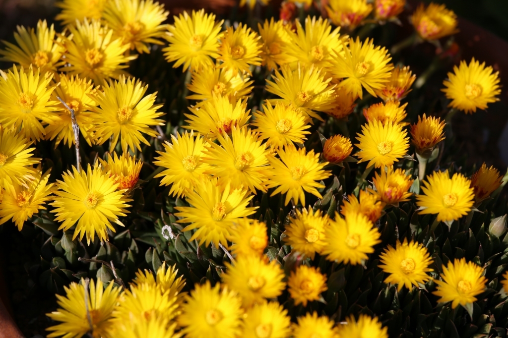 f0140087_20194221.jpg