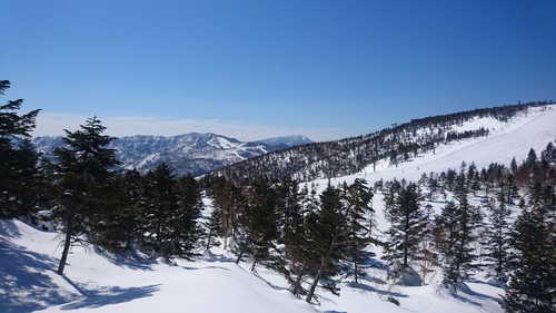 e0015490_21392579.jpg
