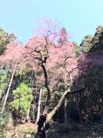 b0035391_22342488.jpg