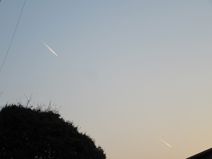 e0048994_10314374.jpg
