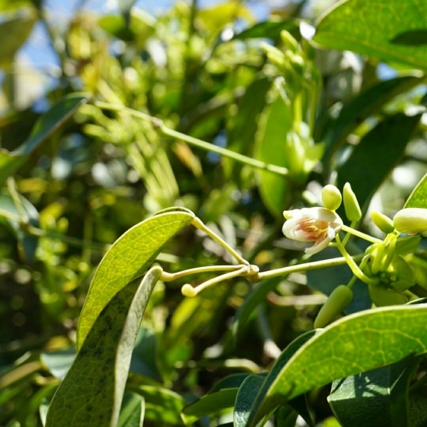 b0207497_15173343.jpg
