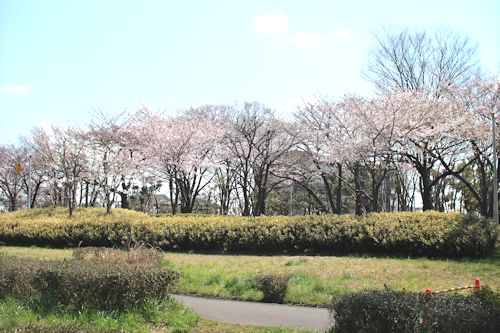 c0090198_21225566.jpg