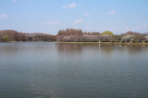 c0090198_21285429.jpg