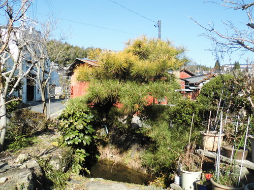 c0108198_16465053.jpg