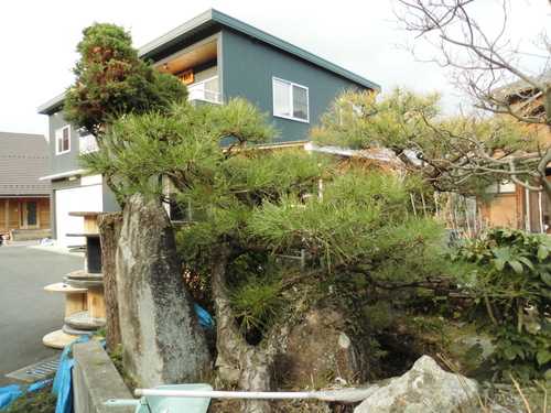 c0108198_16494423.jpg