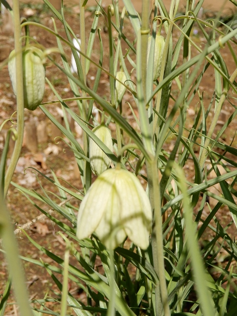 e0025300_22484198.jpg