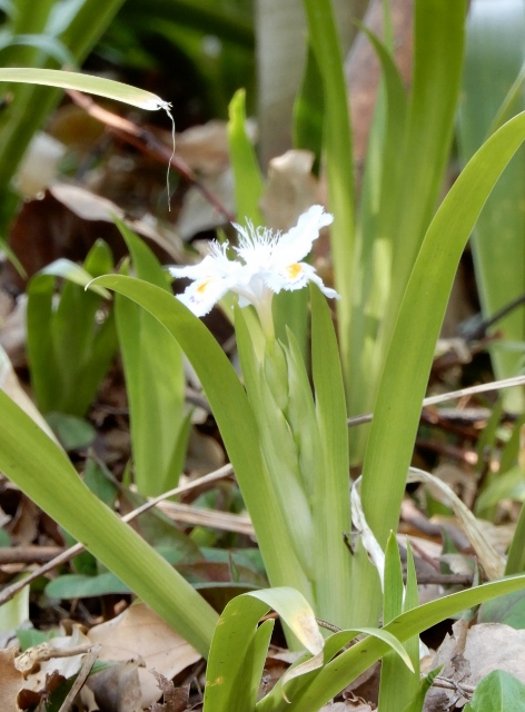 e0025300_22525056.jpg