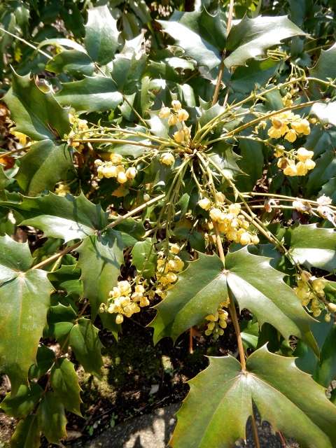 e0025300_225544.jpg