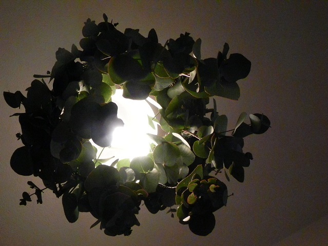 c0152002_20315674.jpg