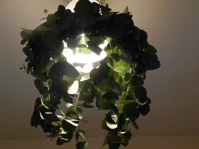 c0152002_20330394.jpg