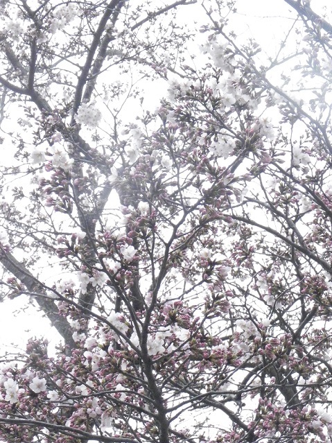 c0152002_20362861.jpg