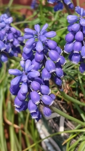 e0351303_22051125.jpg