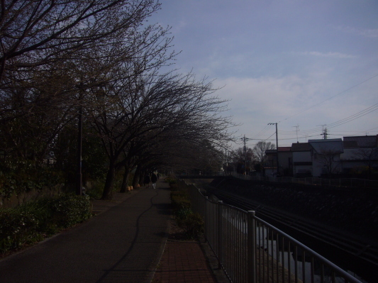 e0358504_21113140.jpg