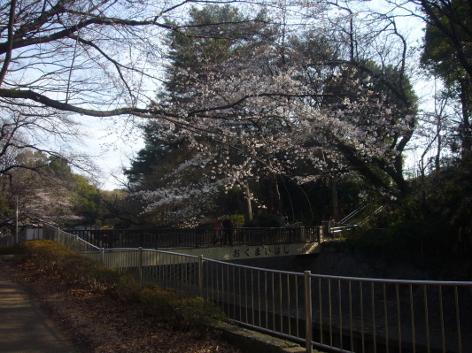 e0358504_21115313.jpg