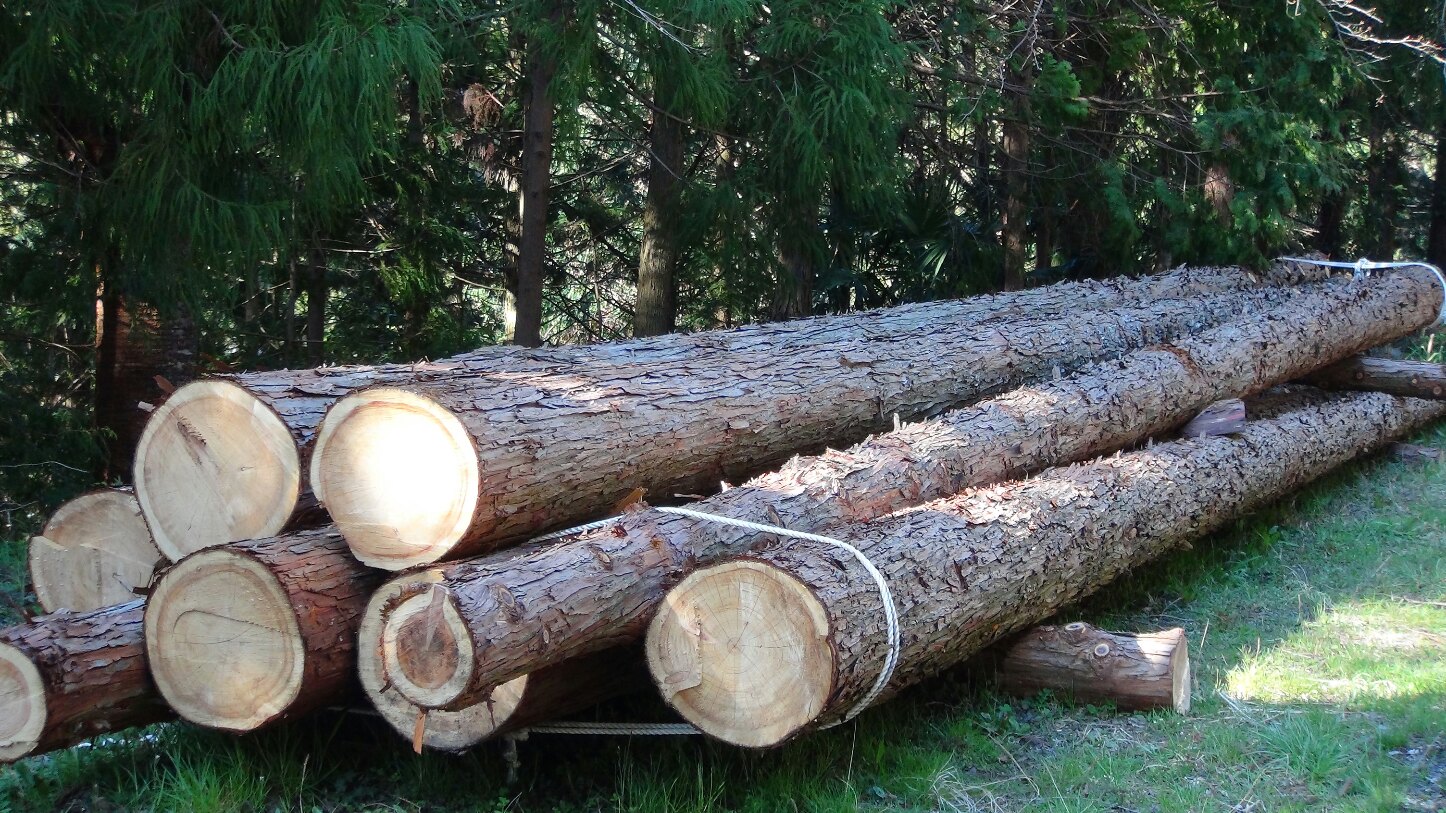 f0231709_13481584.jpg