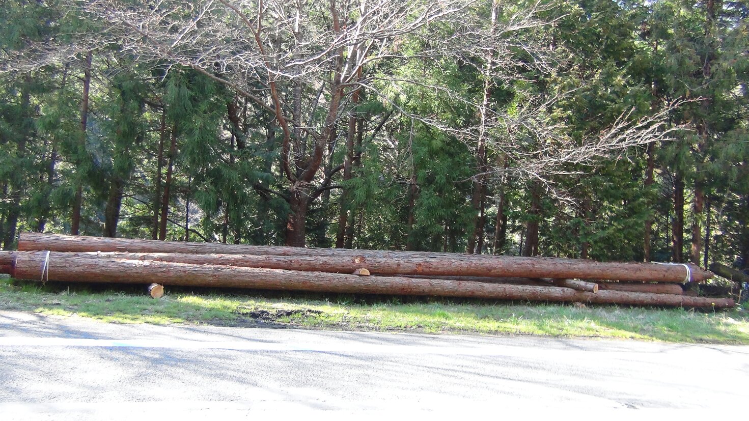 f0231709_13493149.jpg