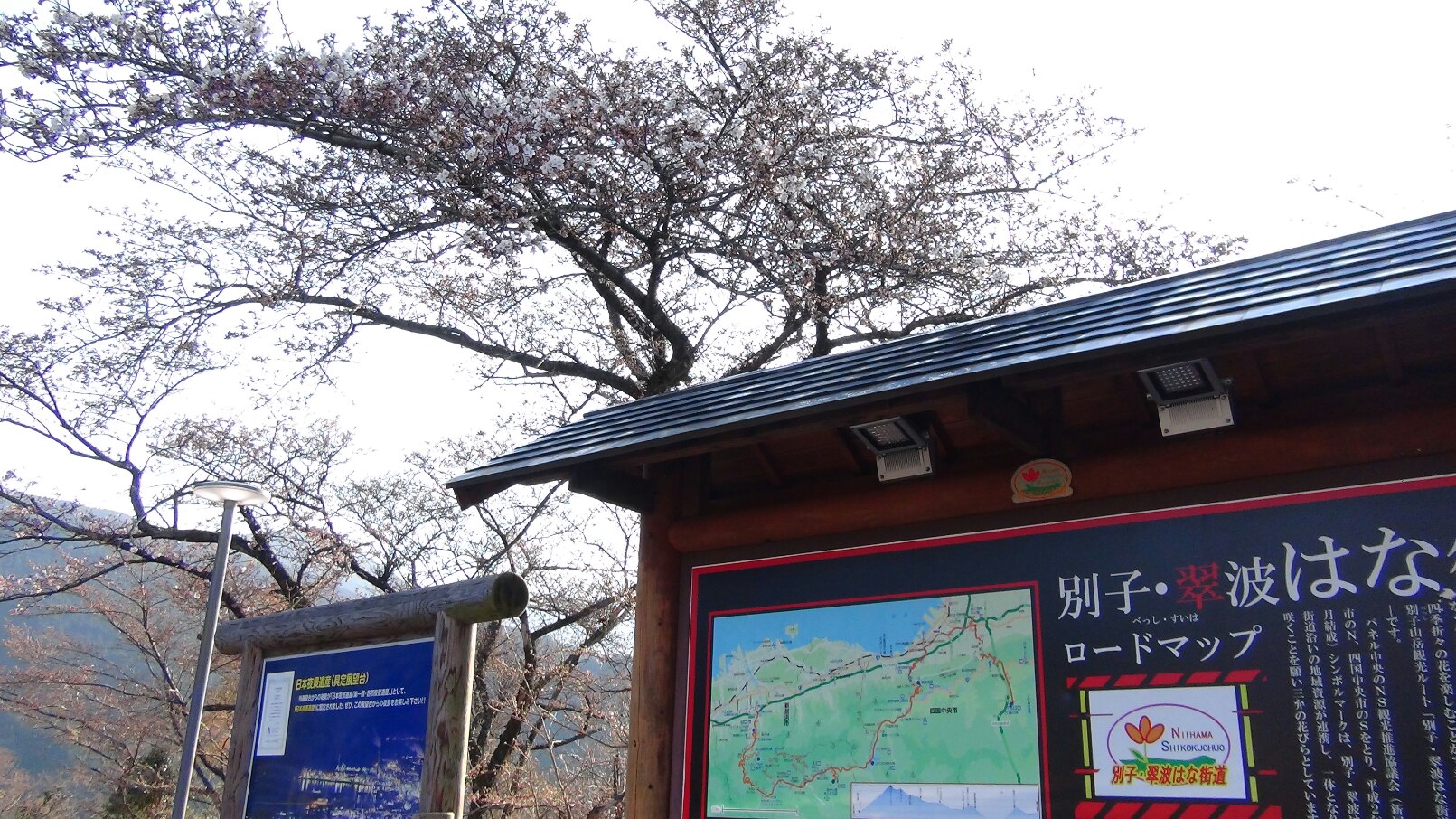 f0231709_14143335.jpg
