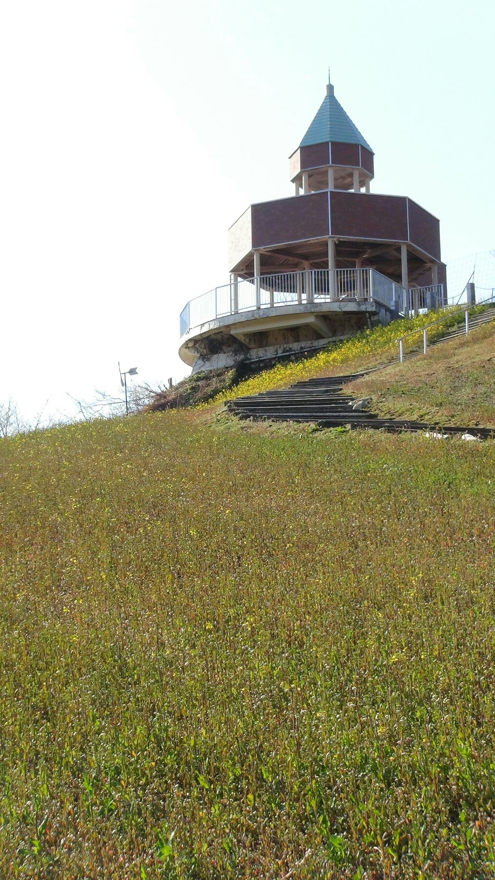 f0231709_14171466.jpg