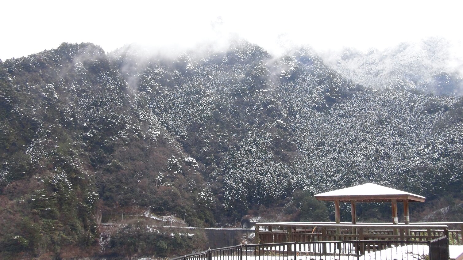 f0231709_1739870.jpg
