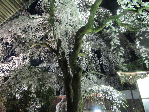 f0231709_21291656.jpg