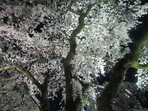f0231709_21305883.jpg