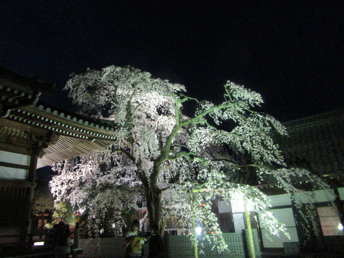 f0231709_21364318.jpg