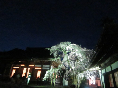 f0231709_2143138.jpg