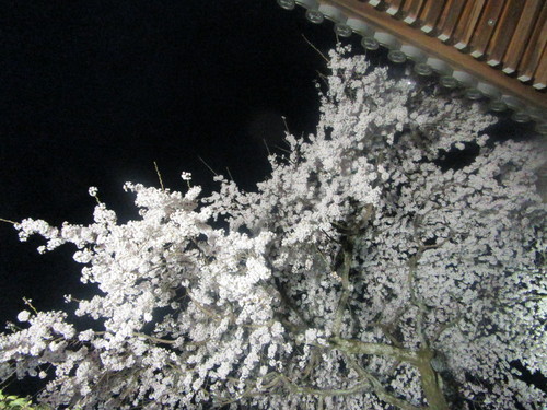f0231709_21552021.jpg