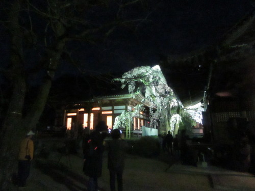f0231709_21562565.jpg