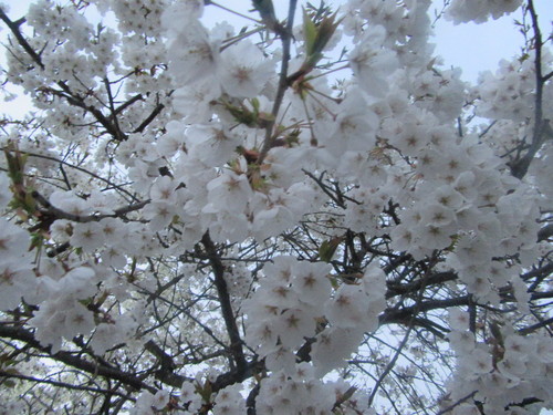 f0231709_2238482.jpg