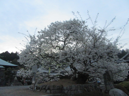 f0231709_22403360.jpg