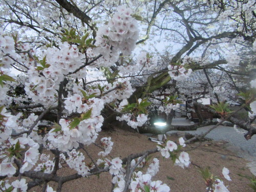 f0231709_22423475.jpg